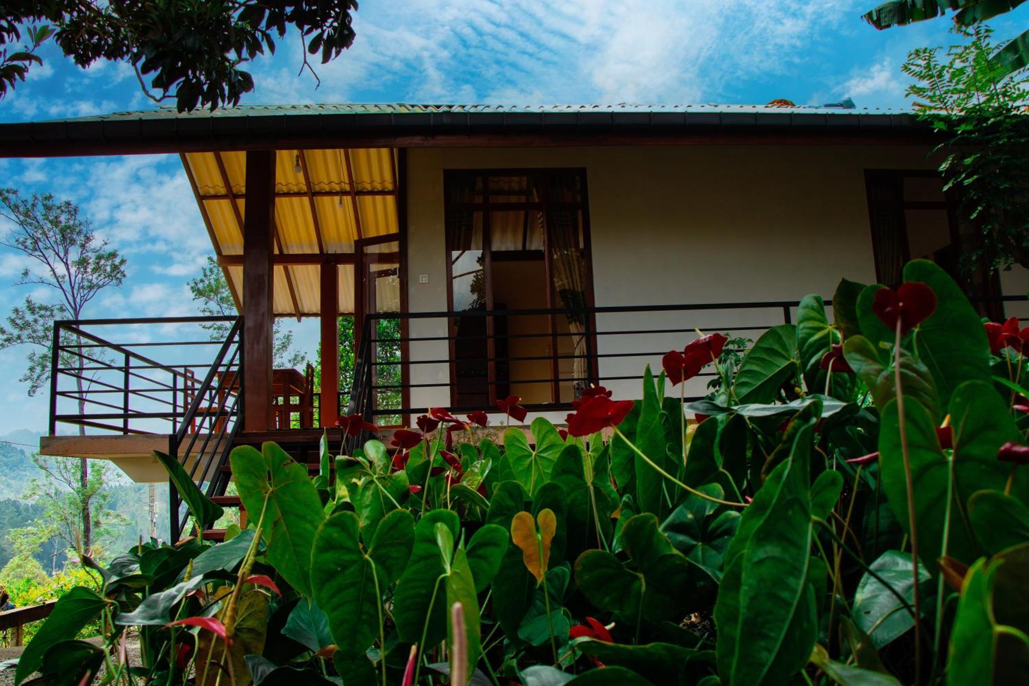 Nine Arch Wood Cabin Ella Ngoại thất bức ảnh