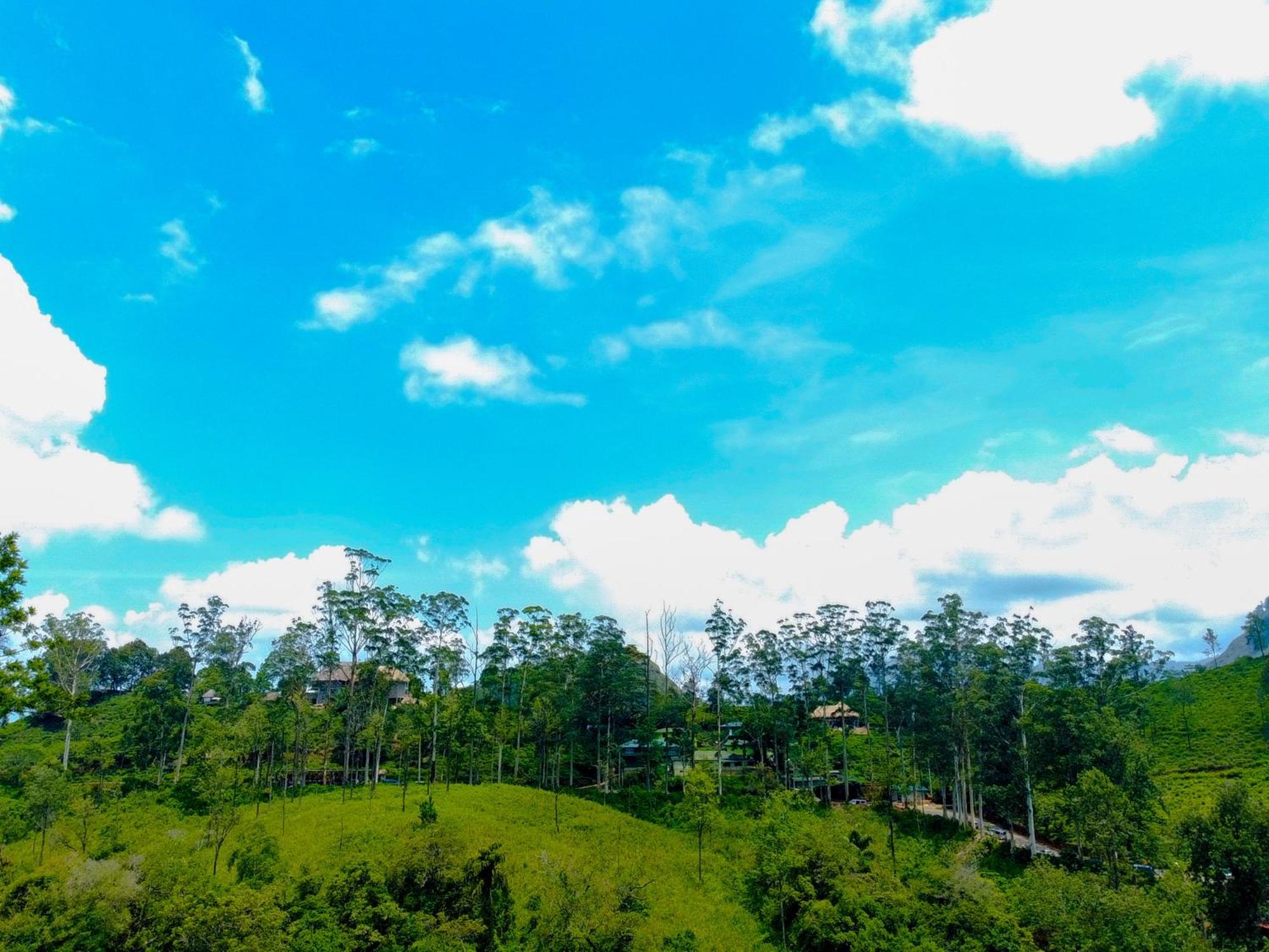 Nine Arch Wood Cabin Ella Ngoại thất bức ảnh