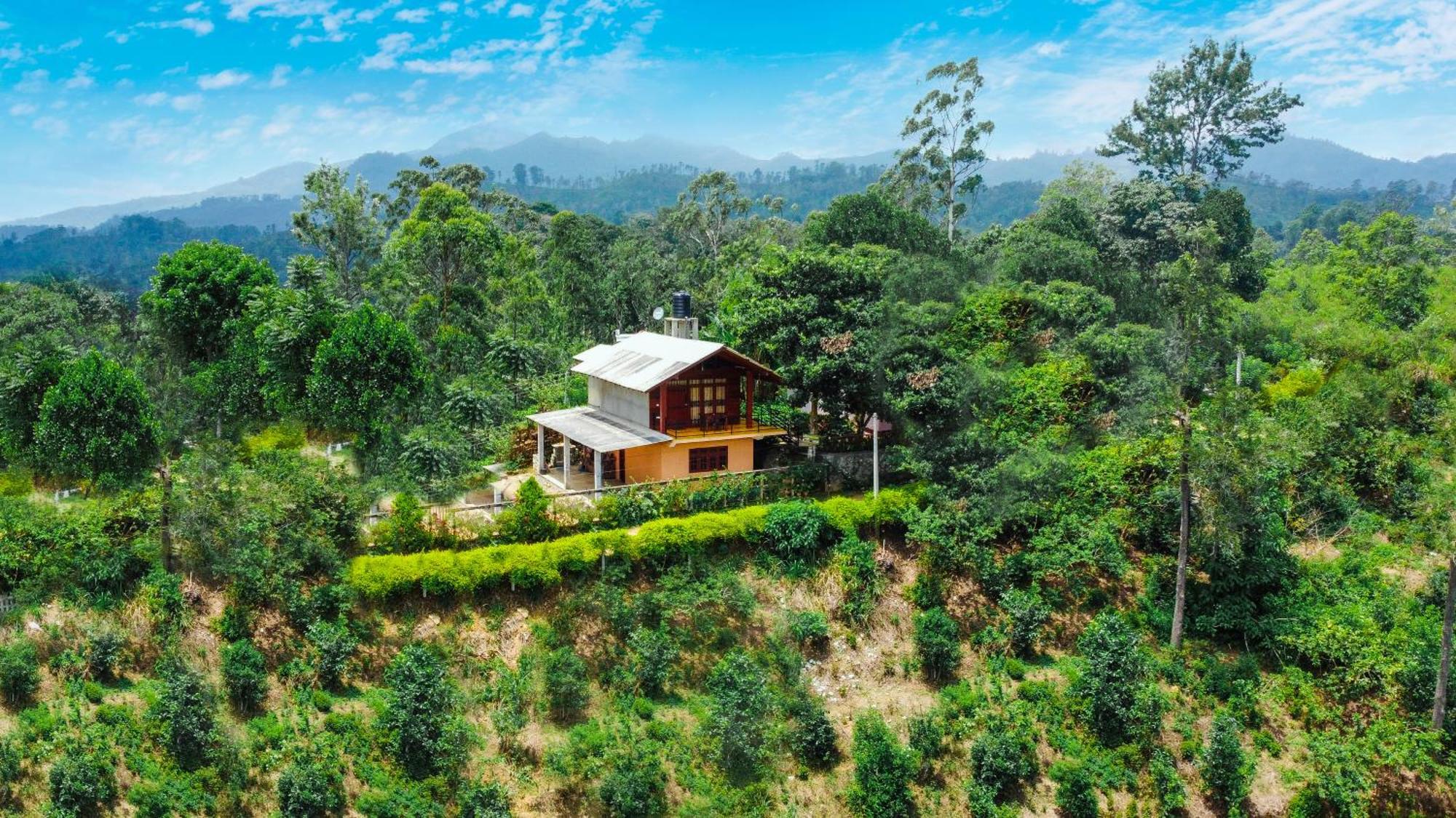 Nine Arch Wood Cabin Ella Ngoại thất bức ảnh